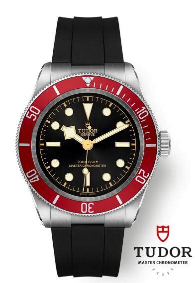 replica tudor black bay|cheapest tudor black bay.